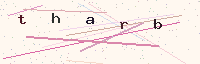 Sicherheits-Code (CAPTCHA-Bild)